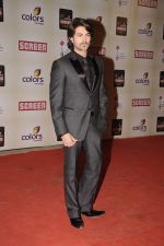 at Star Screen Awards 2012 in Mumbai on 14th Jan 2012 (336).JPG